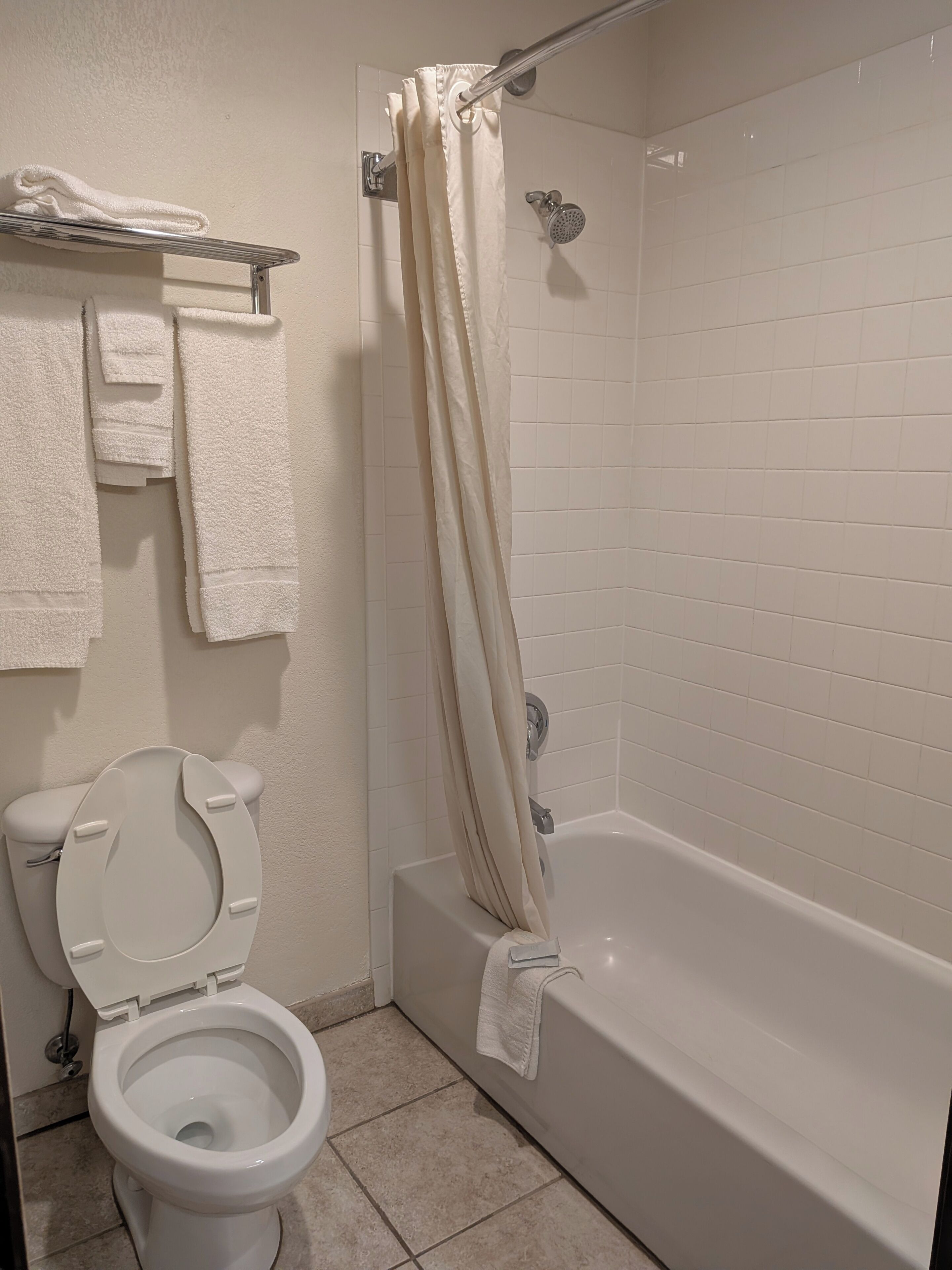Een badkamer met toilet, bad en douchegordijn.