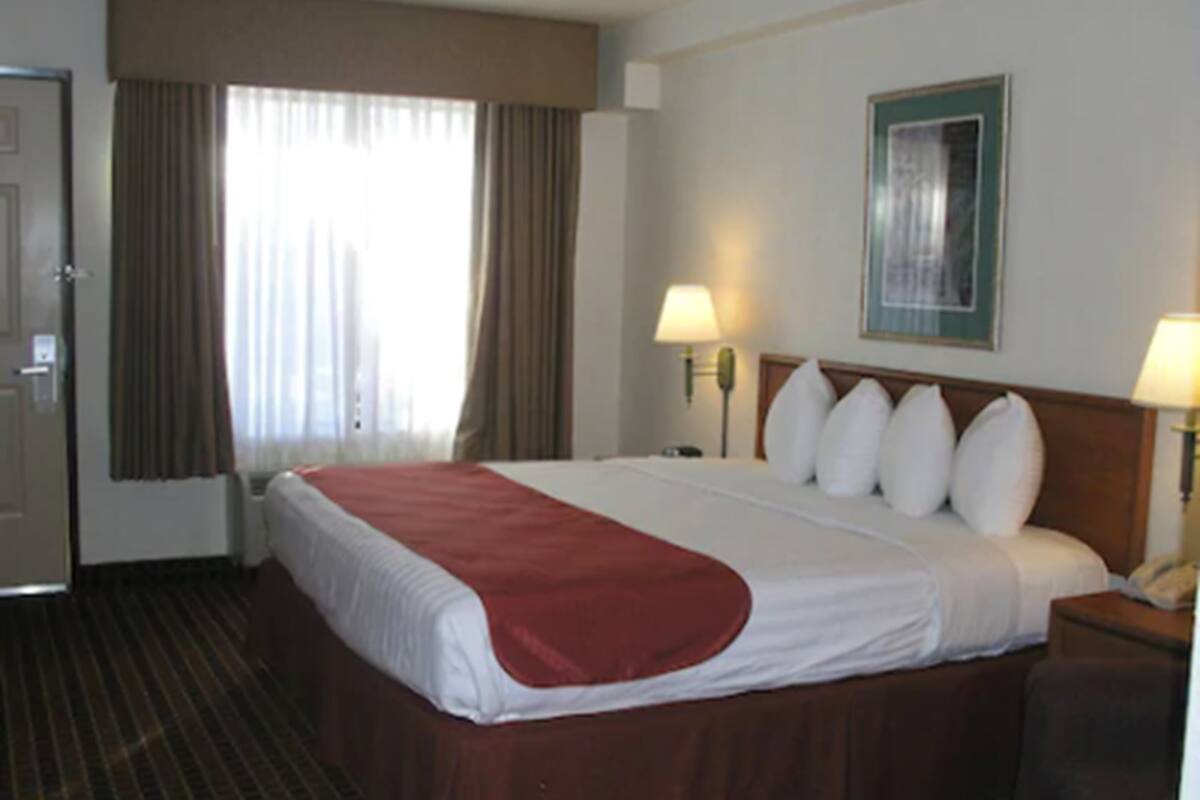 A hotel room with a large bed, two bedside lamps, a door, and a window with curtains.