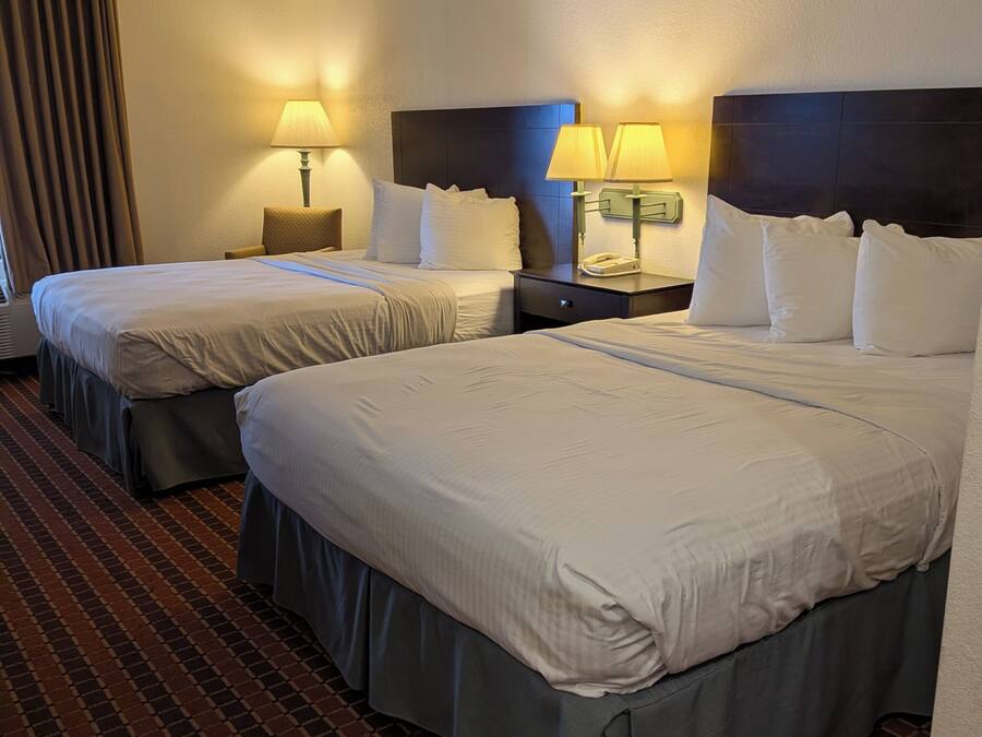 A hotel room with two beds, a check-in counter, and a patterned carpet.