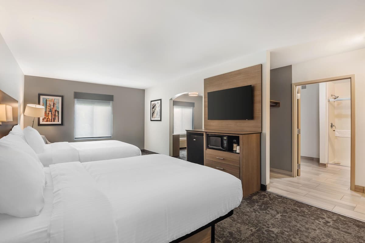 Habitación de hotel con dos camas, televisión, microondas y zona de ducha.