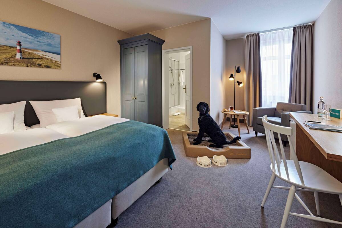 Room, 1 King Bed