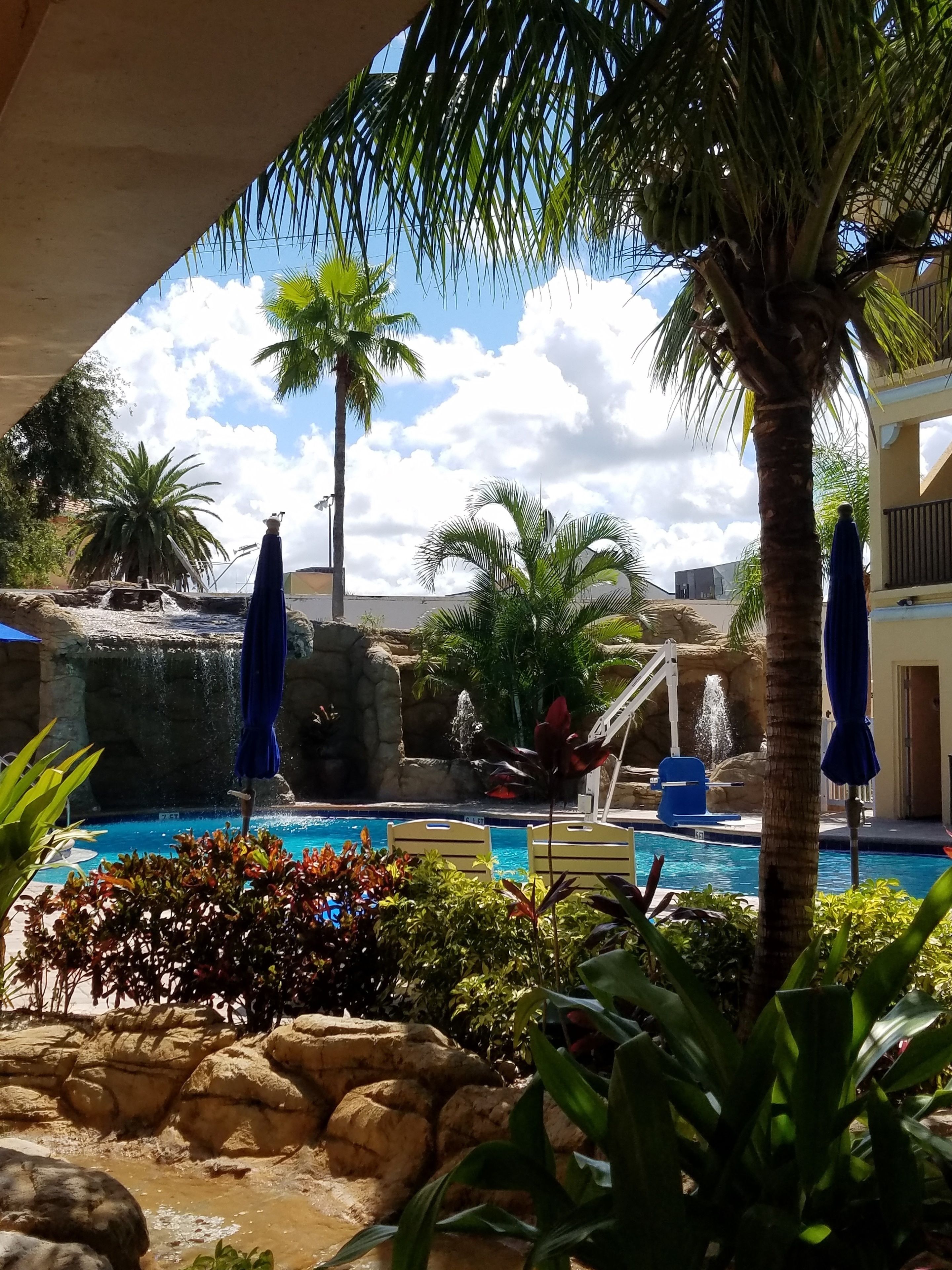 outdoor pool, pool loungers