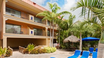 Outdoor pool, sun loungers