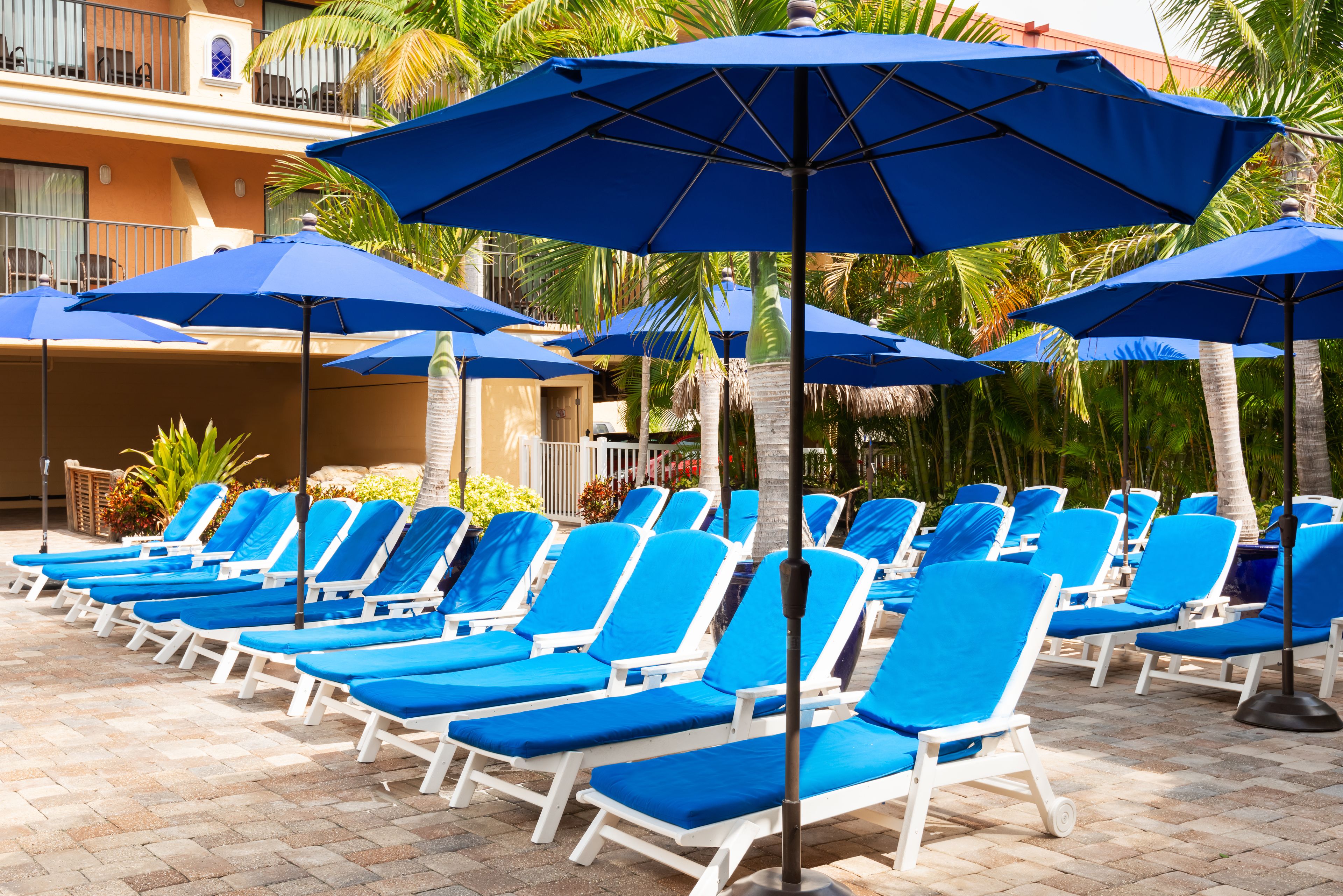 outdoor pool, pool loungers