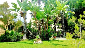 A lush garden with various tropical plants, including banana trees and palm trees, and a small pond with a decorative stone. - Hotel Akrabello (Agrigento)