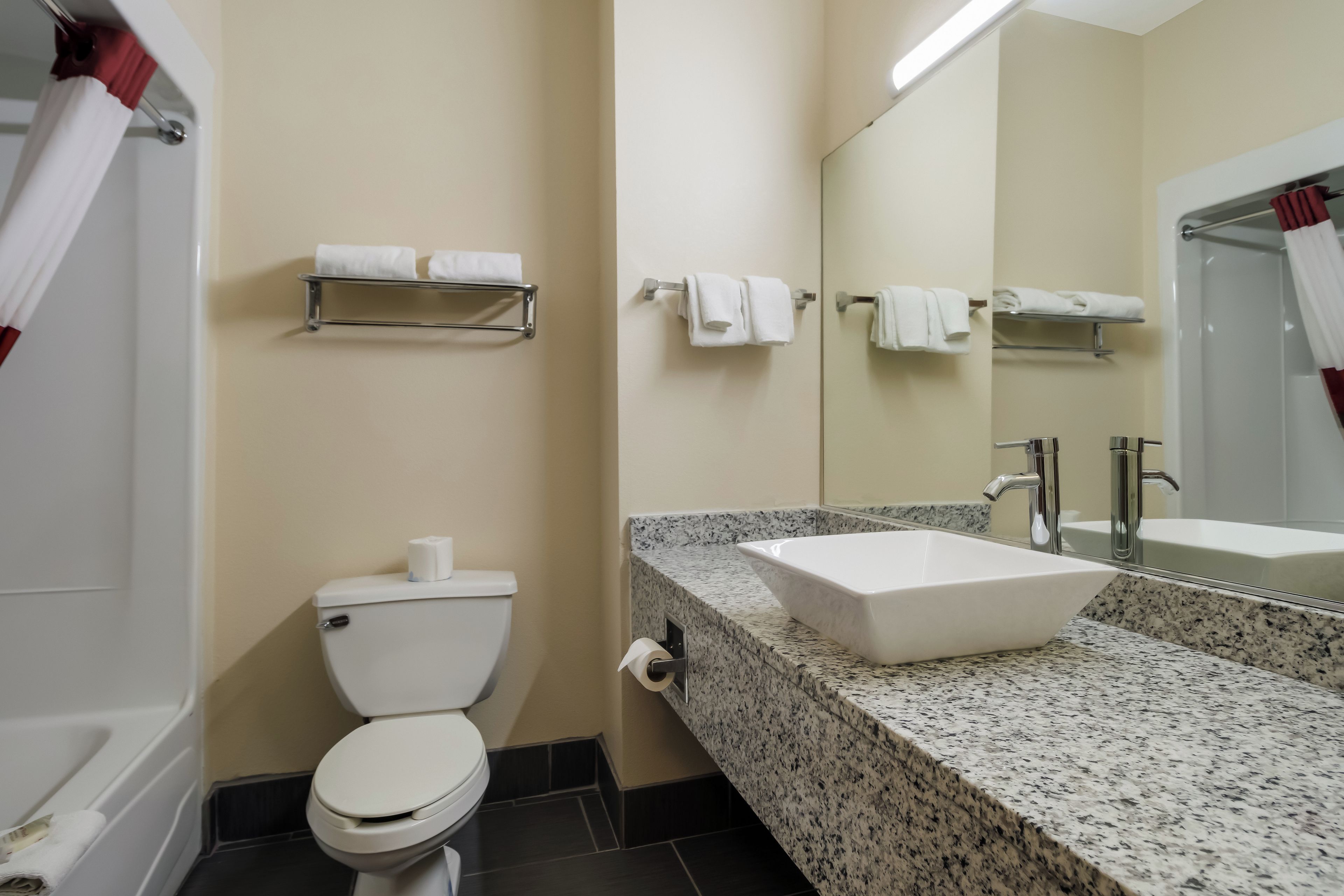 Een badkamer met een toilet, een wastafel en een spiegel.