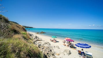 Navette gratuite vers la plage, chaises longues, parasols