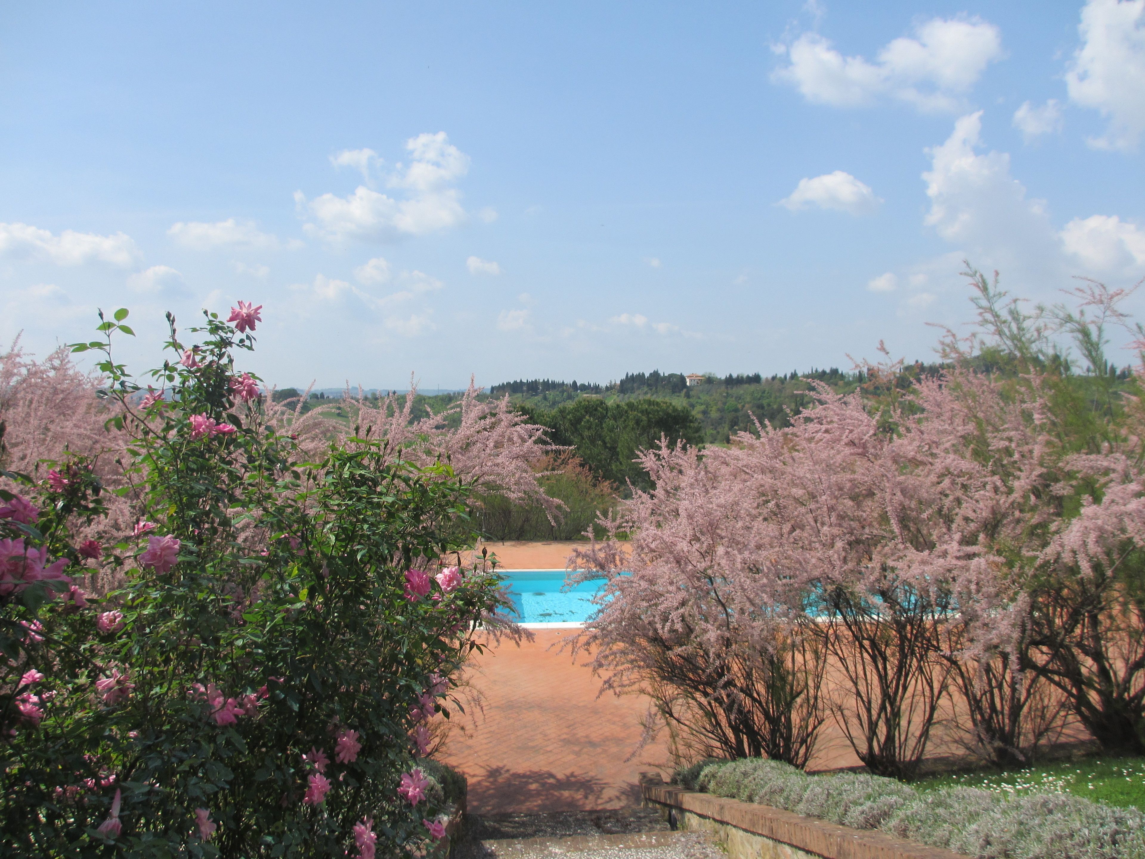 outdoor pool, a rooftop pool, pool umbrellas, pool loungers