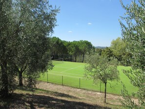 Tennis court