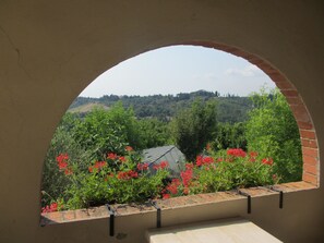Single Room | Terrace/patio