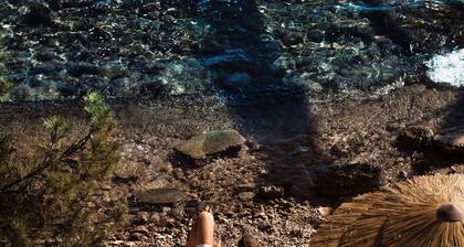 BarcelĂł Illetas Albatros - Adults Only