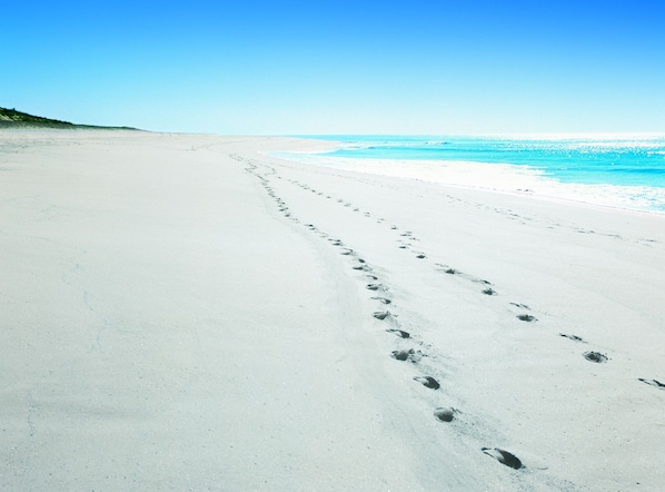 Plage, planche à voile, bar de plage, voile