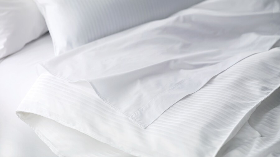 Sheraton Metairie - New Orleans Hotel