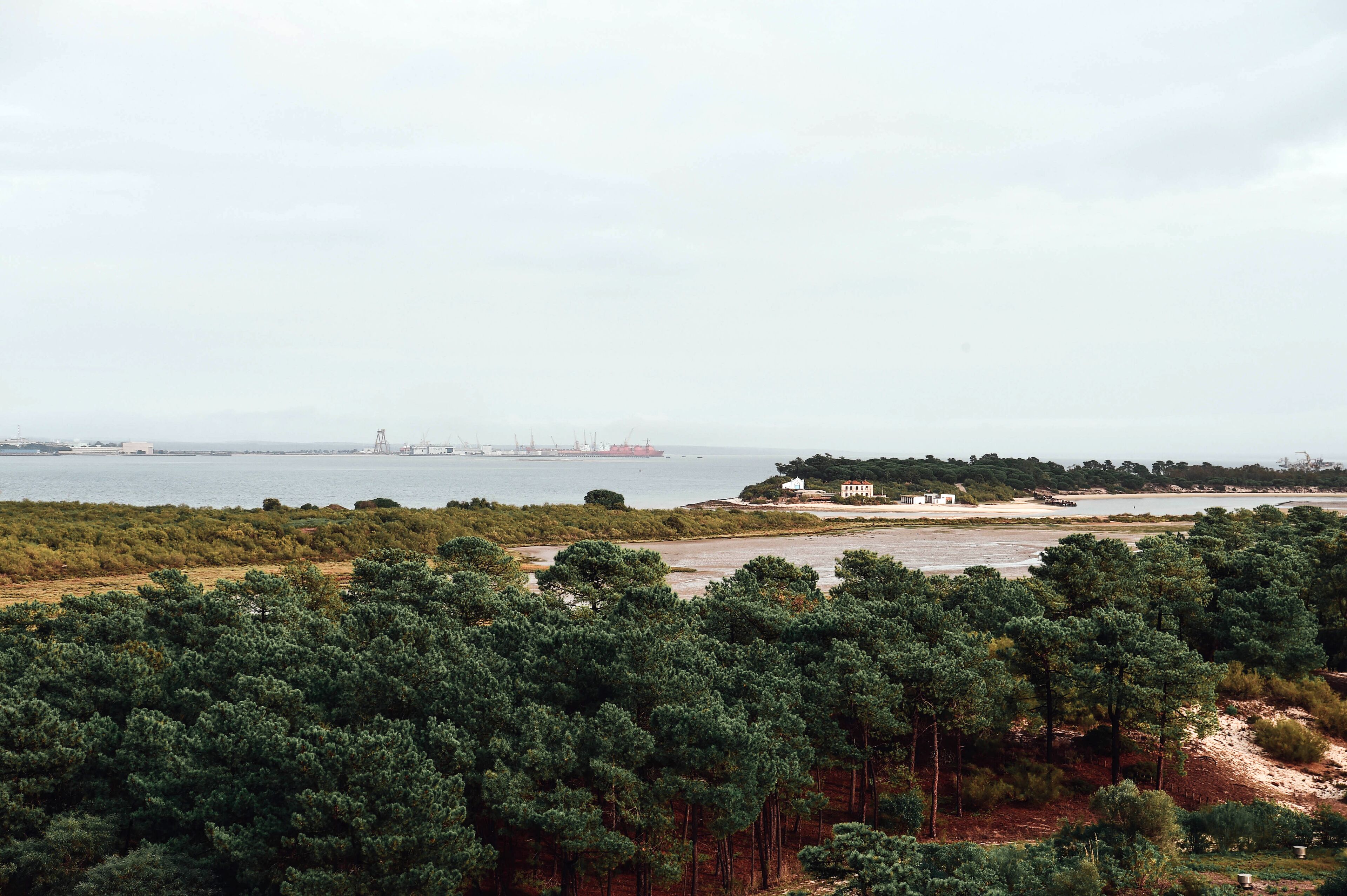 Paisaje costero con densos bosques de pino, una playa de arena y una vista distante de estructuras industriales al otro lado del agua.