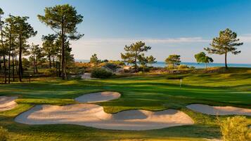 Enjoy a round of golf with ocean views at this scenic course featuring lush green grass, sand bunkers, and tall pine trees.