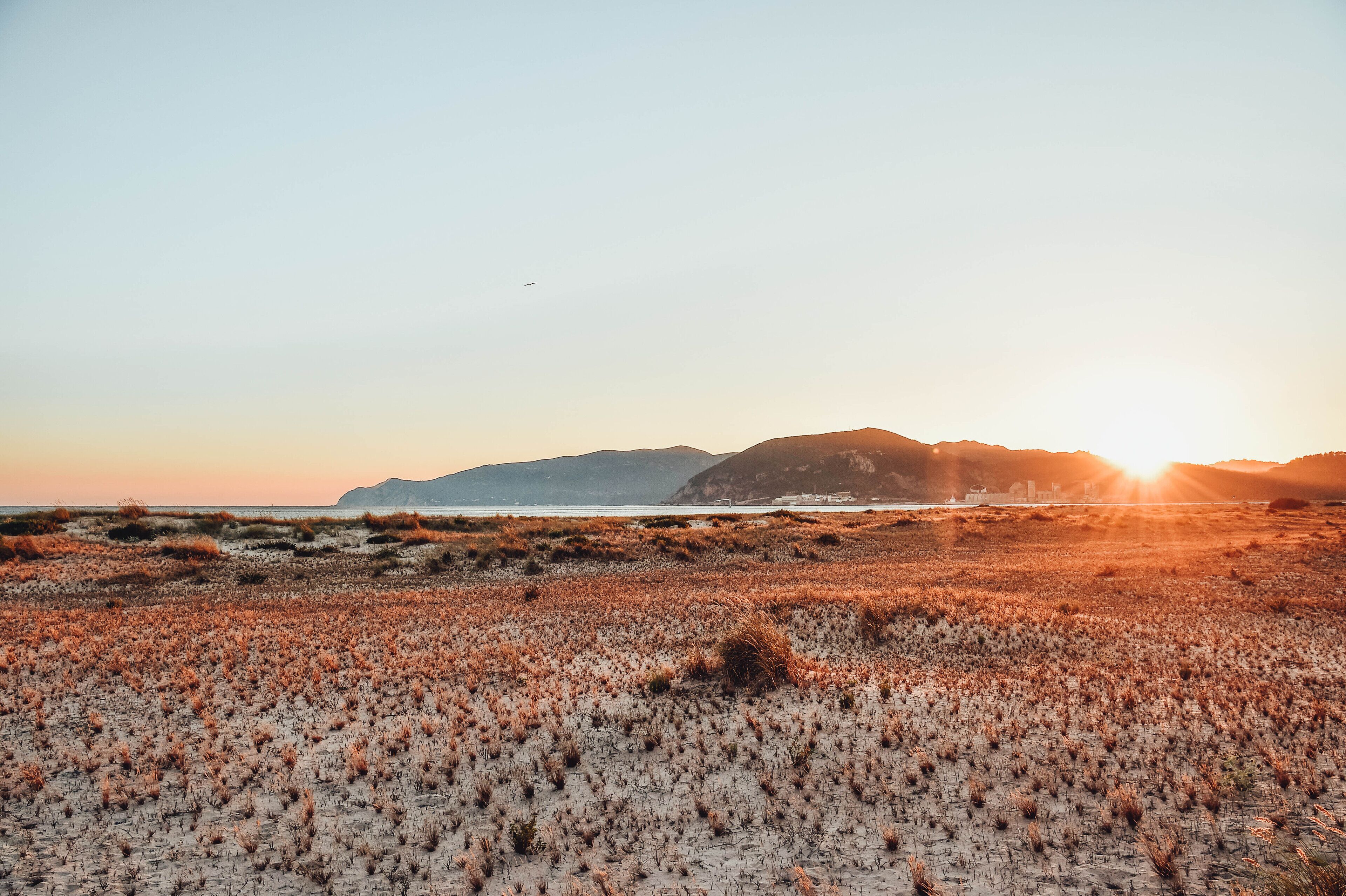 Eine Strandlandschaft mit Dünen und einem entfernten Berg bei Sonnenuntergang.
