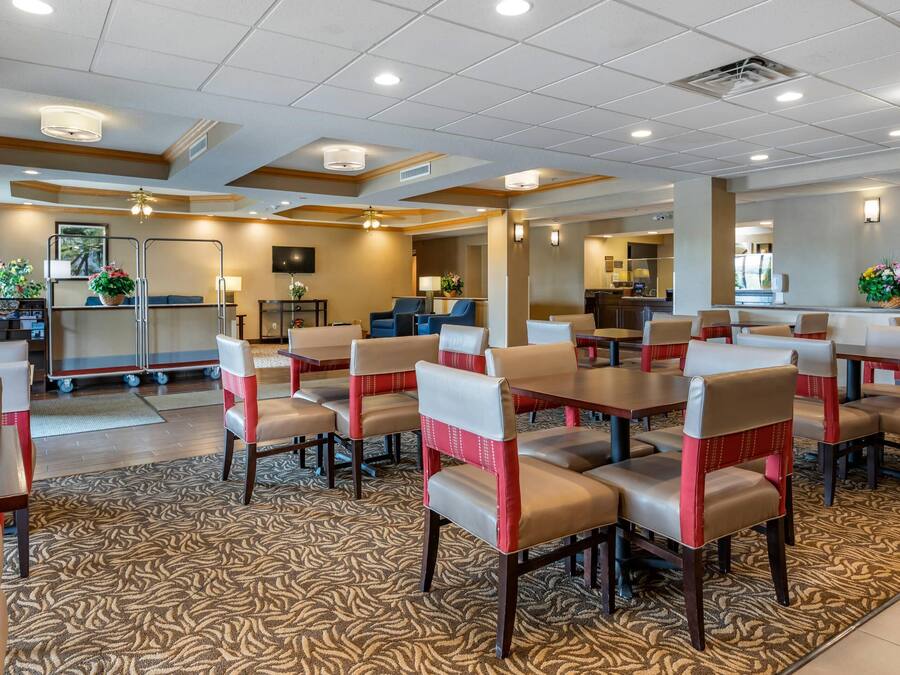 Free daily full breakfast