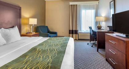 Comfort Inn Charlotte