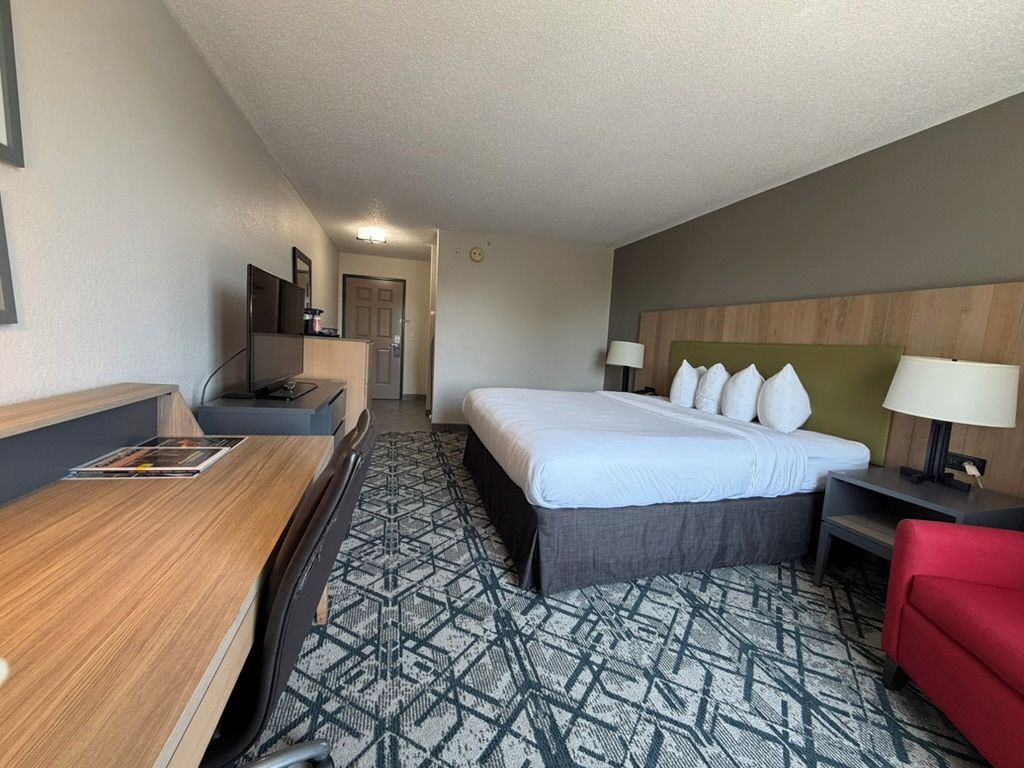 A hotel room with a bed, a desk, a chair, a TV, and a red couch.