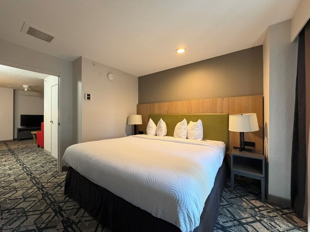 Una habitación de hotel con una cama grande, dos mesitas de noche, un televisor y una alfombra estampada.