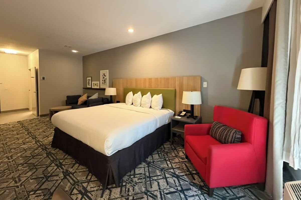 Room, 1 King Bed, Non Smoking | Desk, blackout drapes, iron/ironing board, WiFi (free)