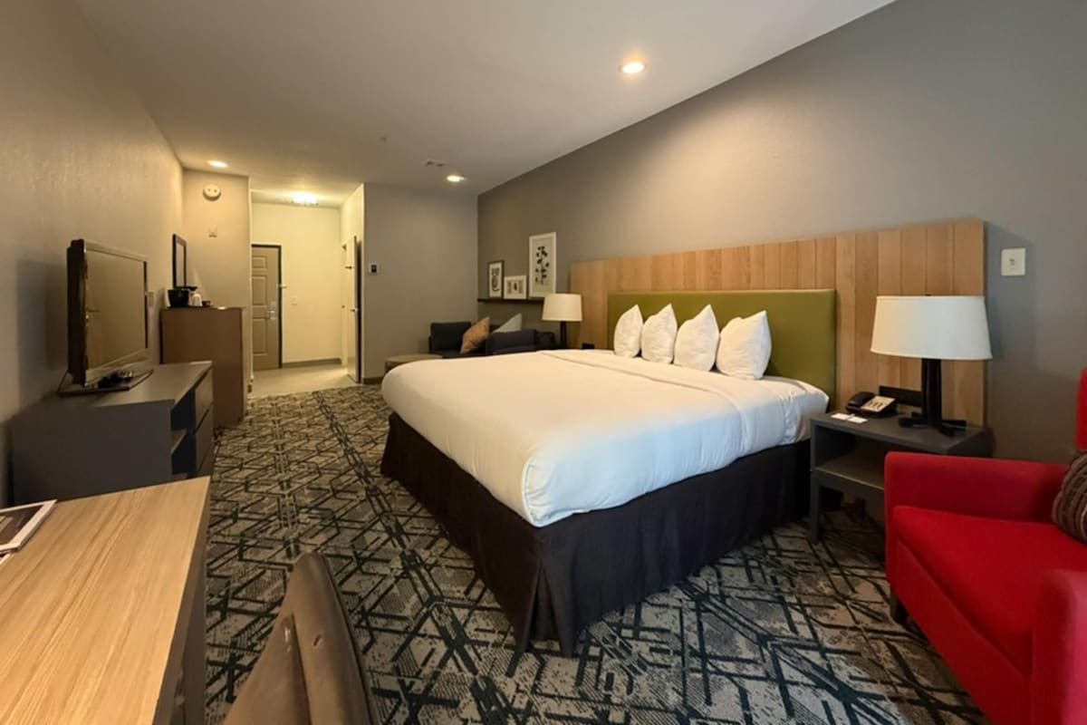 Room, 1 King Bed, Non Smoking