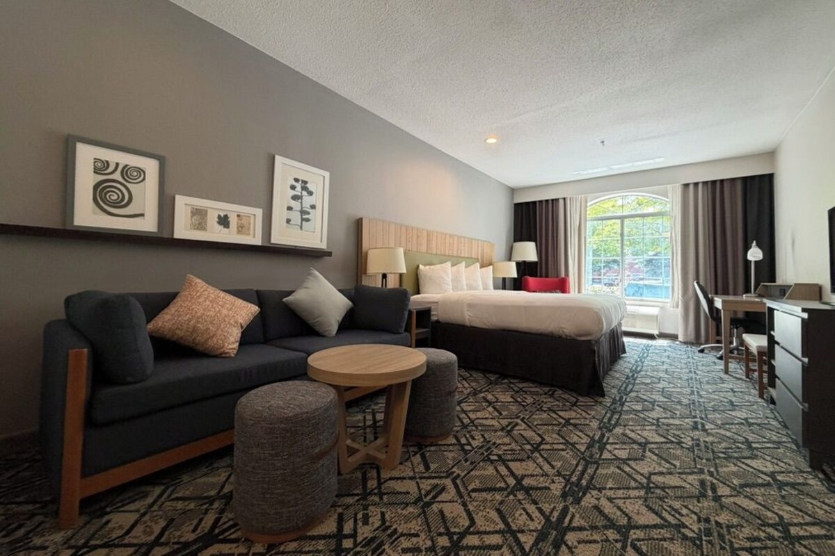 1 King Bed, 1 Bedroom Suite, Deluxe Suite | Desk, blackout drapes, iron/ironing board, WiFi (free)