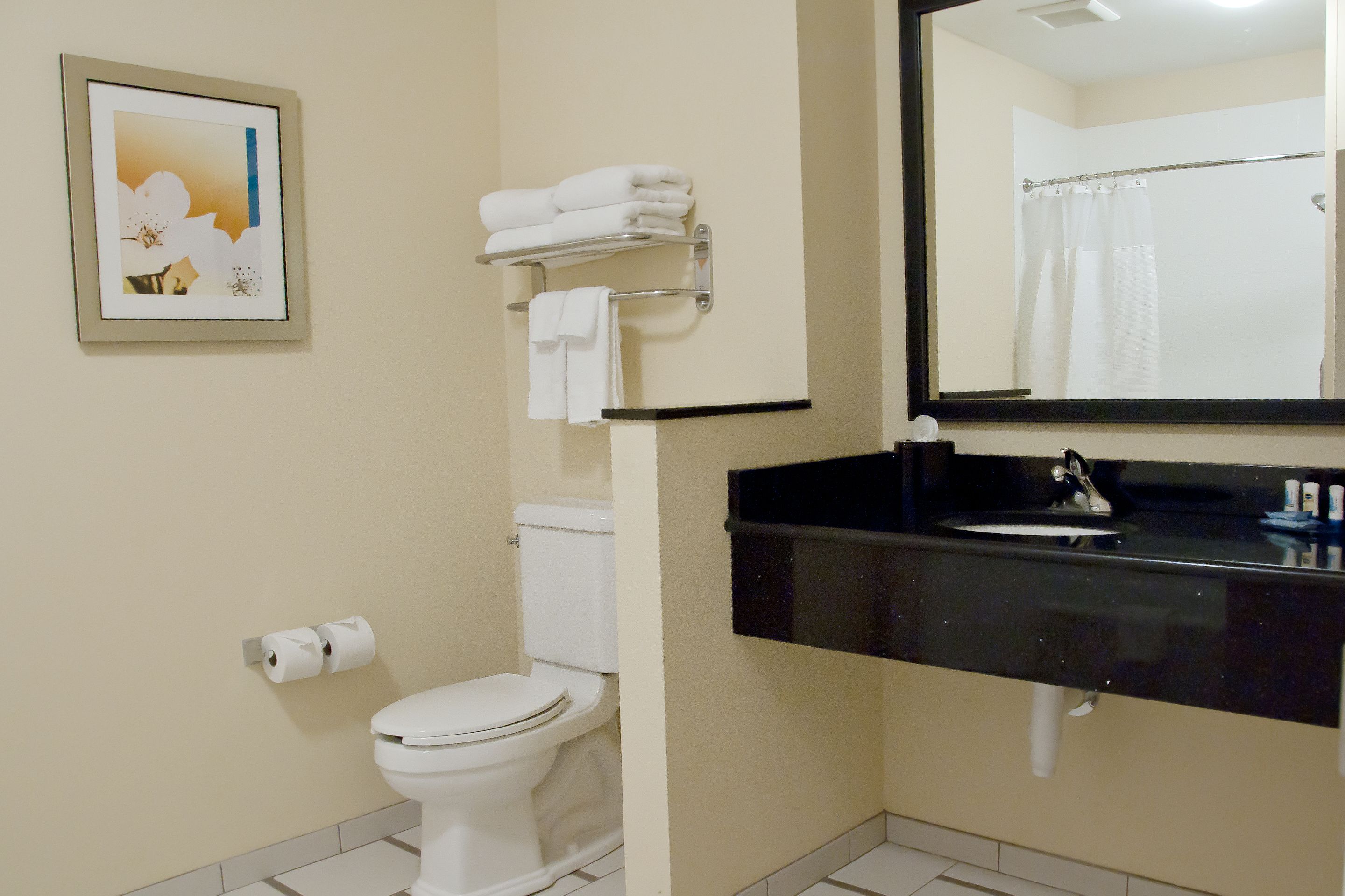 suite, 1 king bed, non smoking | bathroom | combined shower/bathtub, designer toiletries, hair dryer, towels
