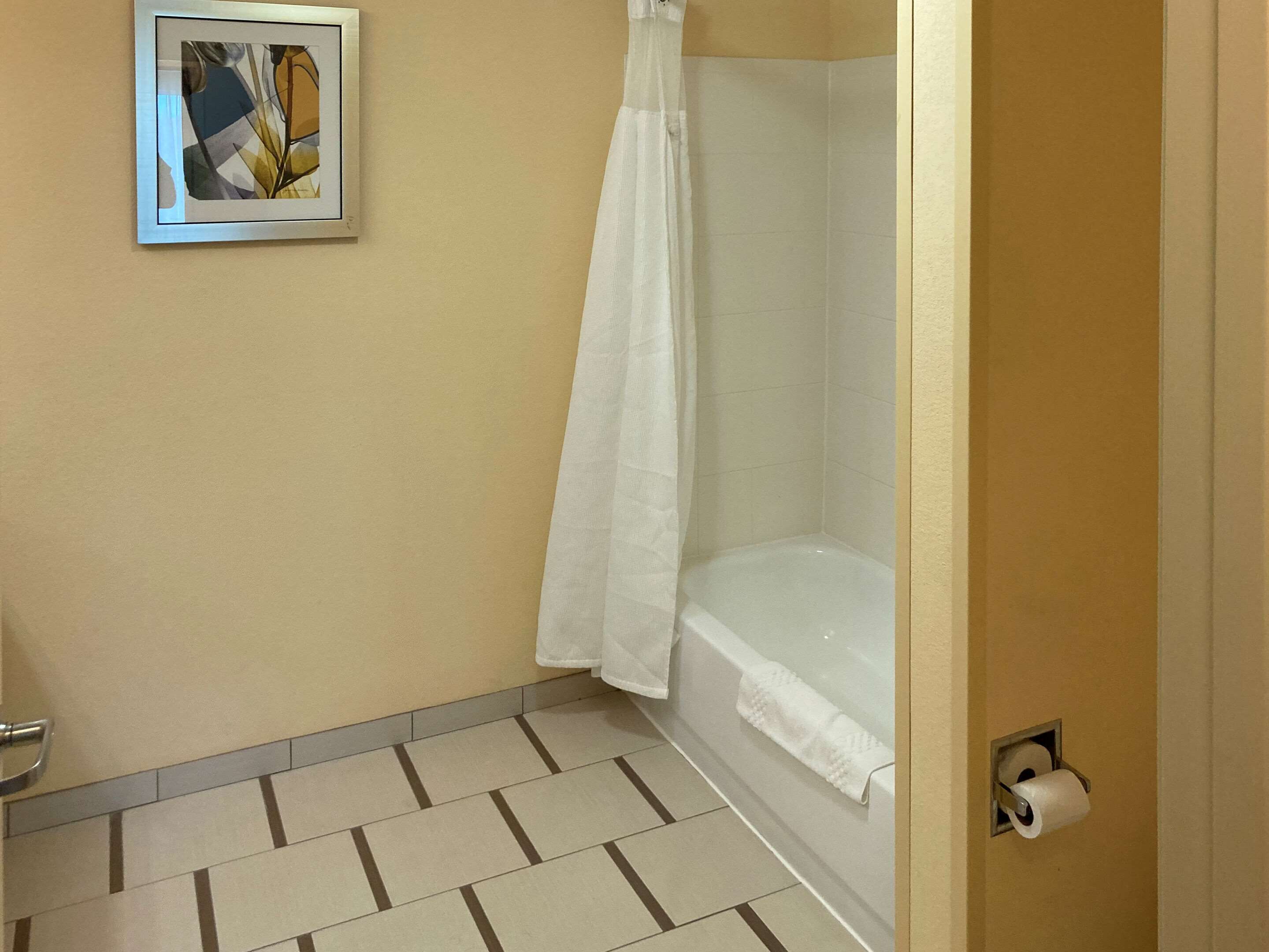 A bathroom with a bathtub, a toilet, and a shower curtain.