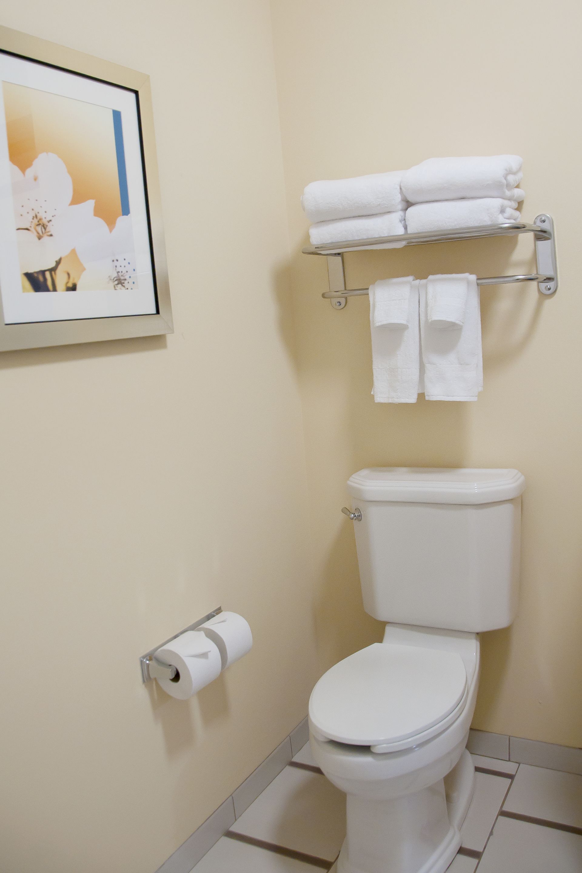 A bathroom with a toilet, a towel rack with towels, a toilet paper holder, and a framed picture on the wall.