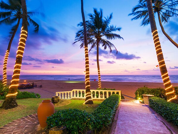 A pathway leading to a beach with palm trees and a decorative fence.