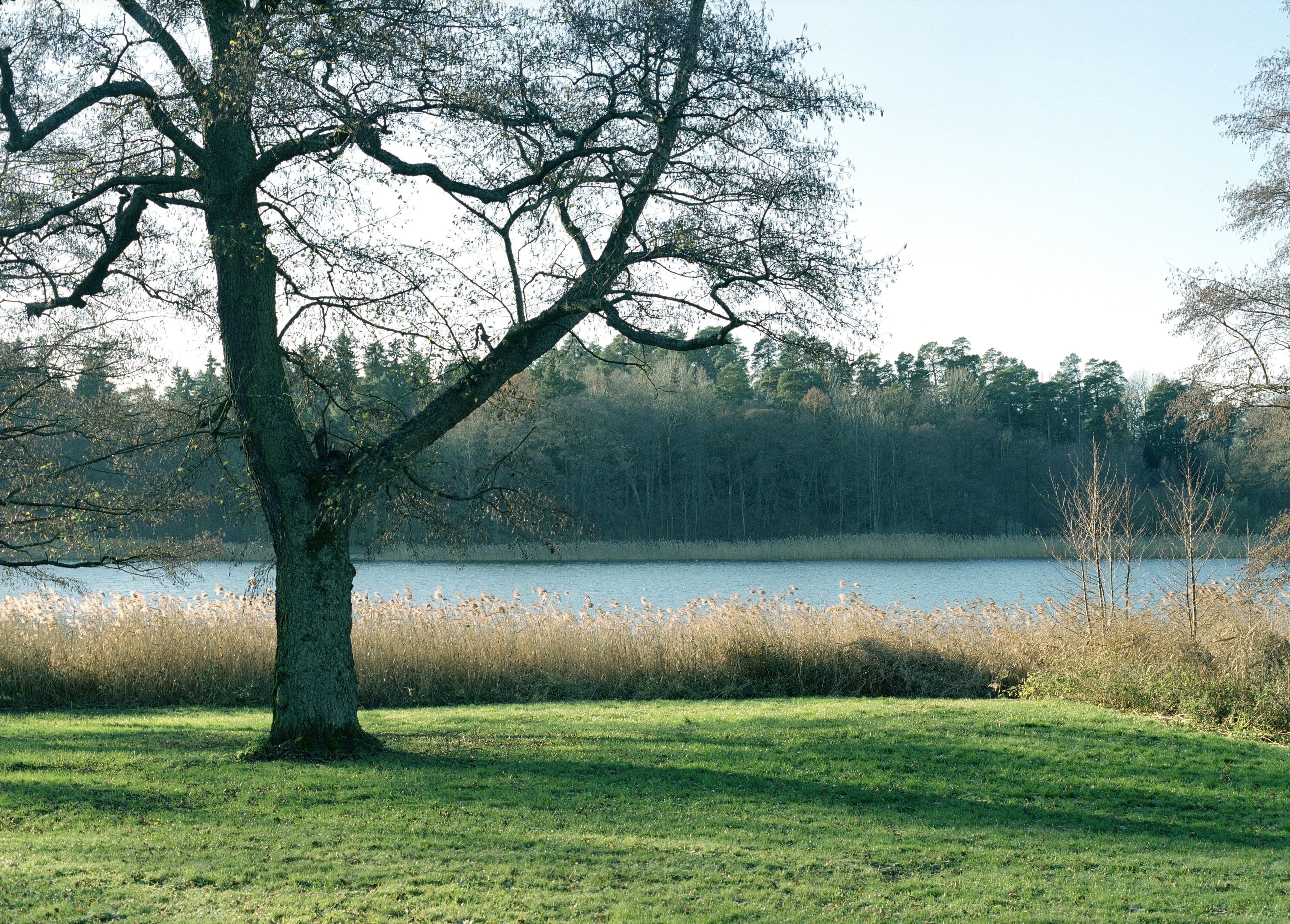 Photo - Näsby Slott