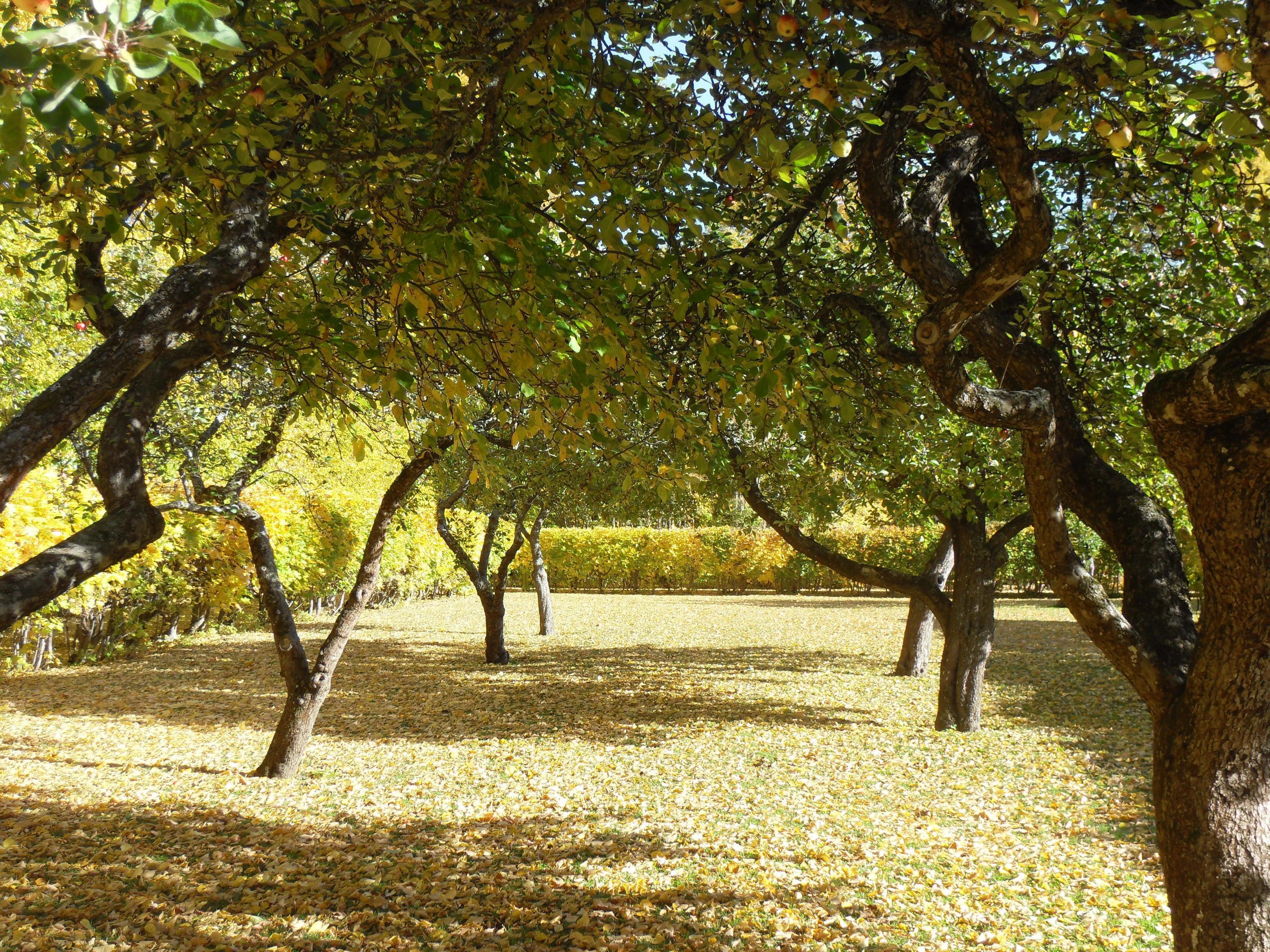 Photo - Näsby Slott
