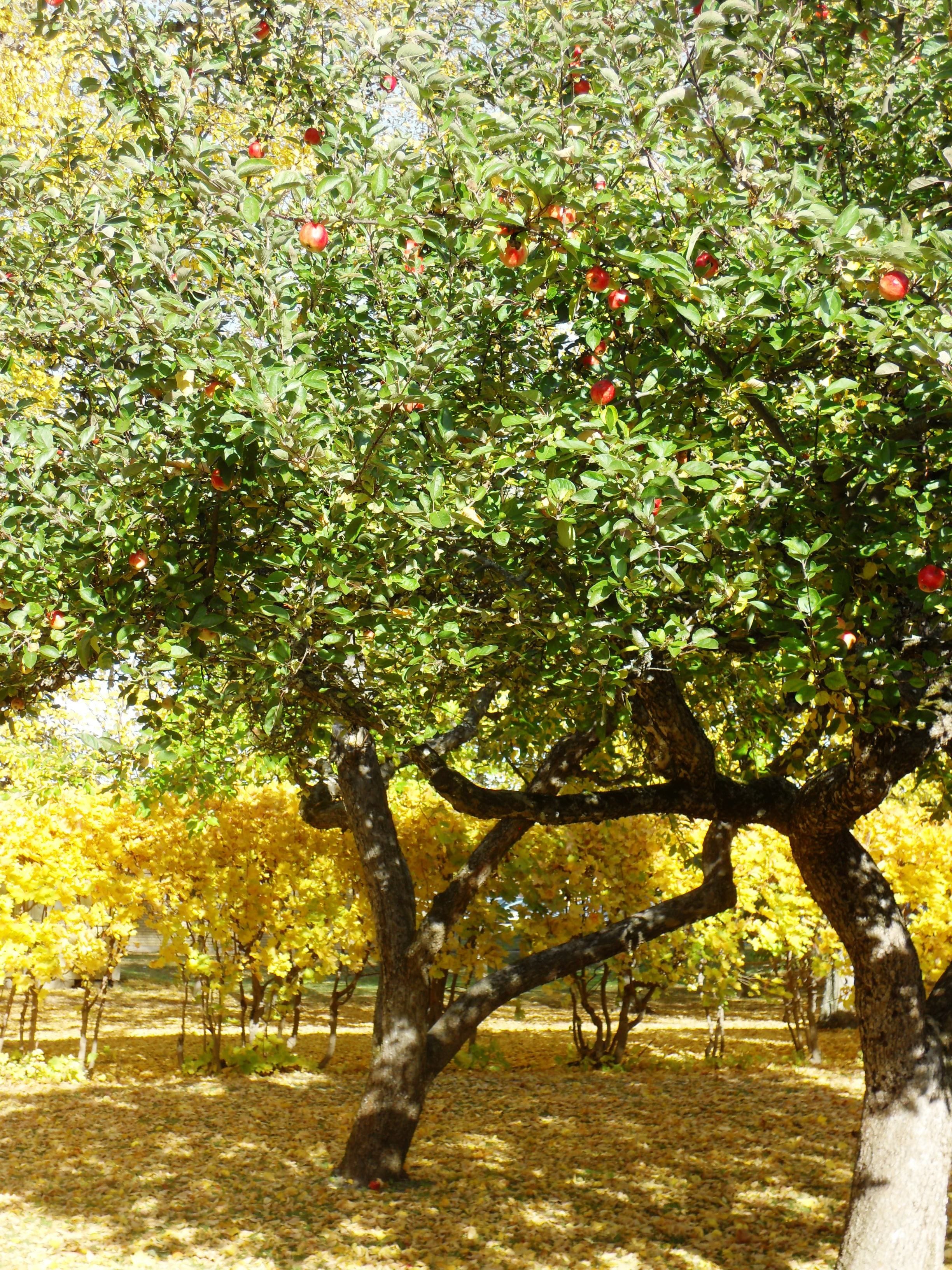 Photo - Näsby Slott