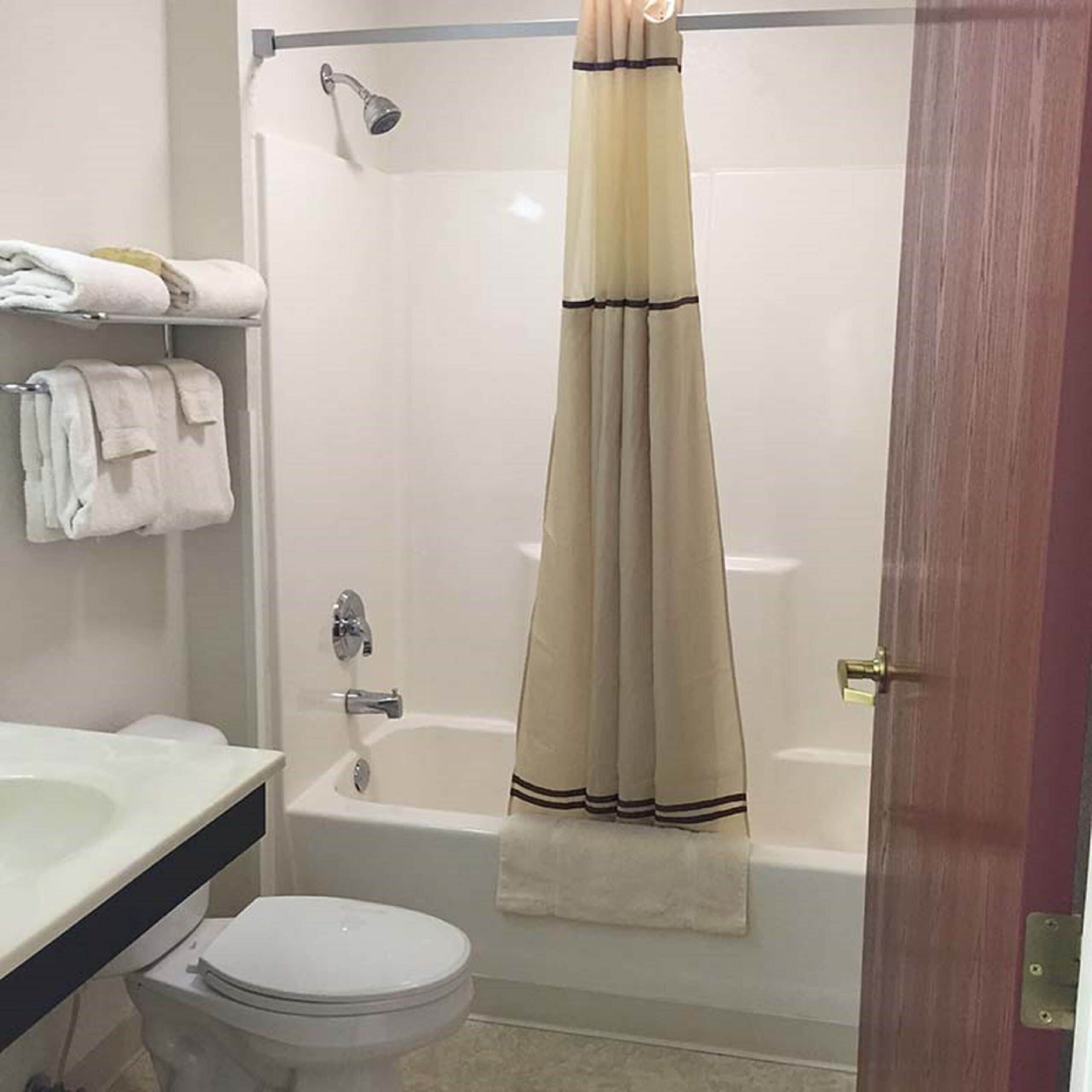 combined shower/bathtub, free toiletries, hair dryer, towels
