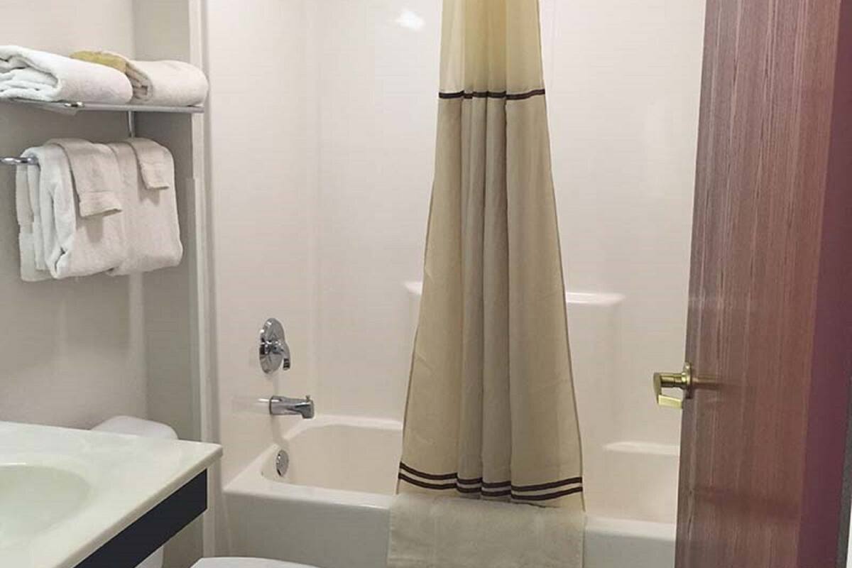 combined shower/bathtub, free toiletries, hair dryer, towels