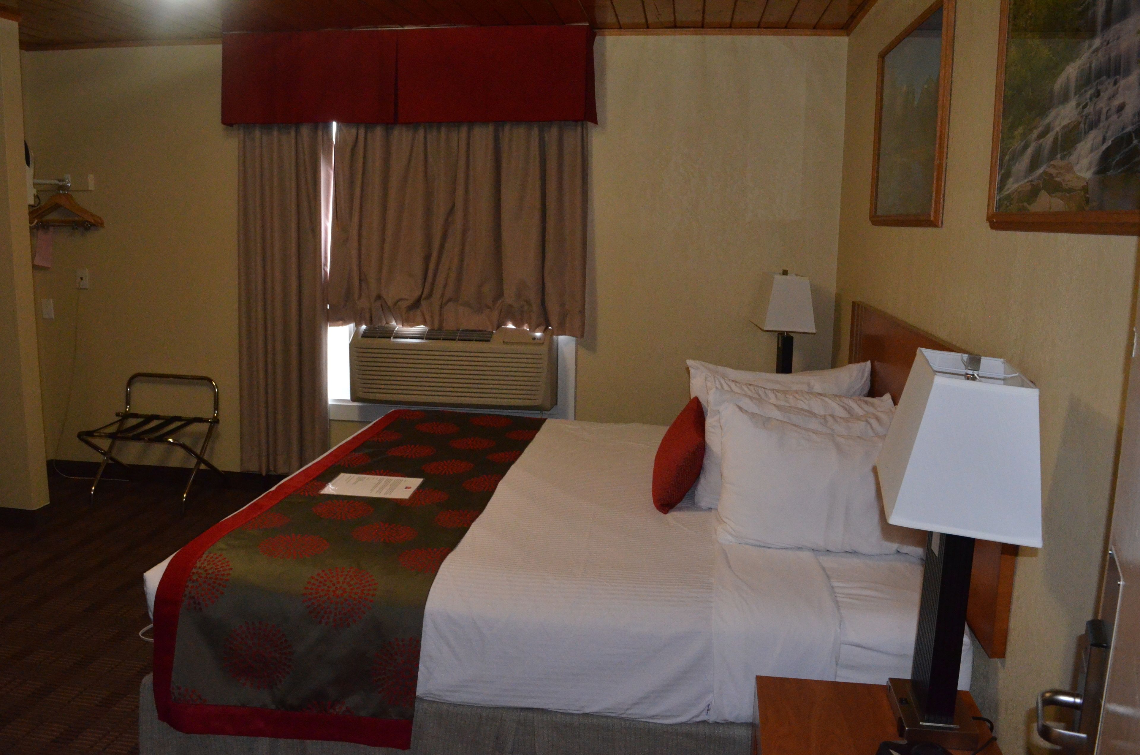 Hotelkamer met een bed, een bedlamp, een raam met gordijnen, een radiator en een aan de muur hangend schilderij.