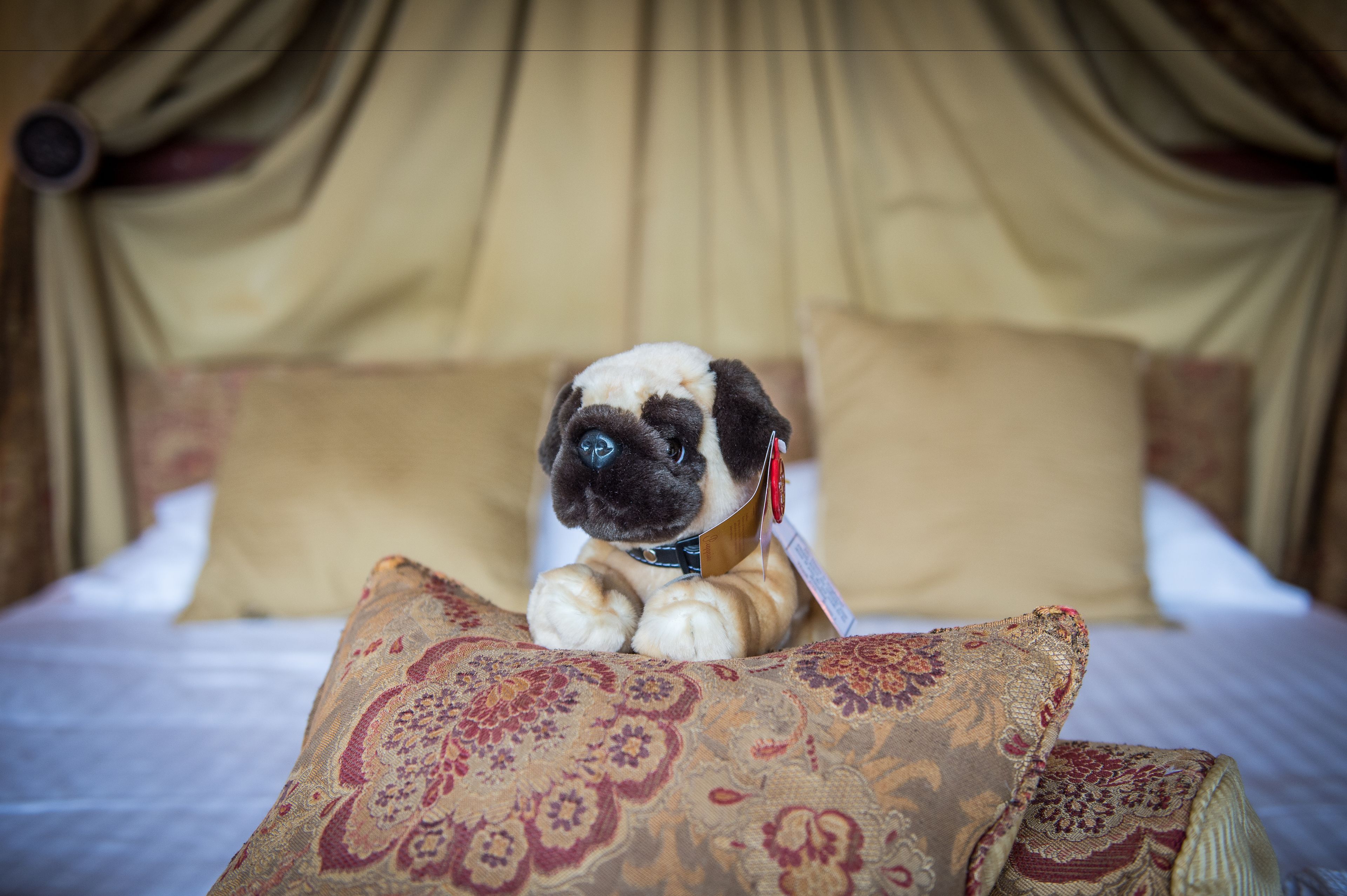 premier room | 1 bedroom, desk, iron/ironing board, free wifi