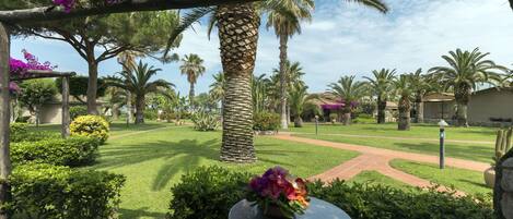A patio area with a table and chairs, surrounded by lush greenery and palm trees.