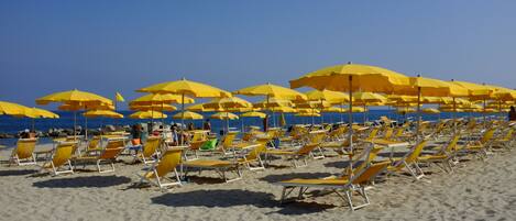 A beach with rows of yellow sun umbrellas and lounge chairs.