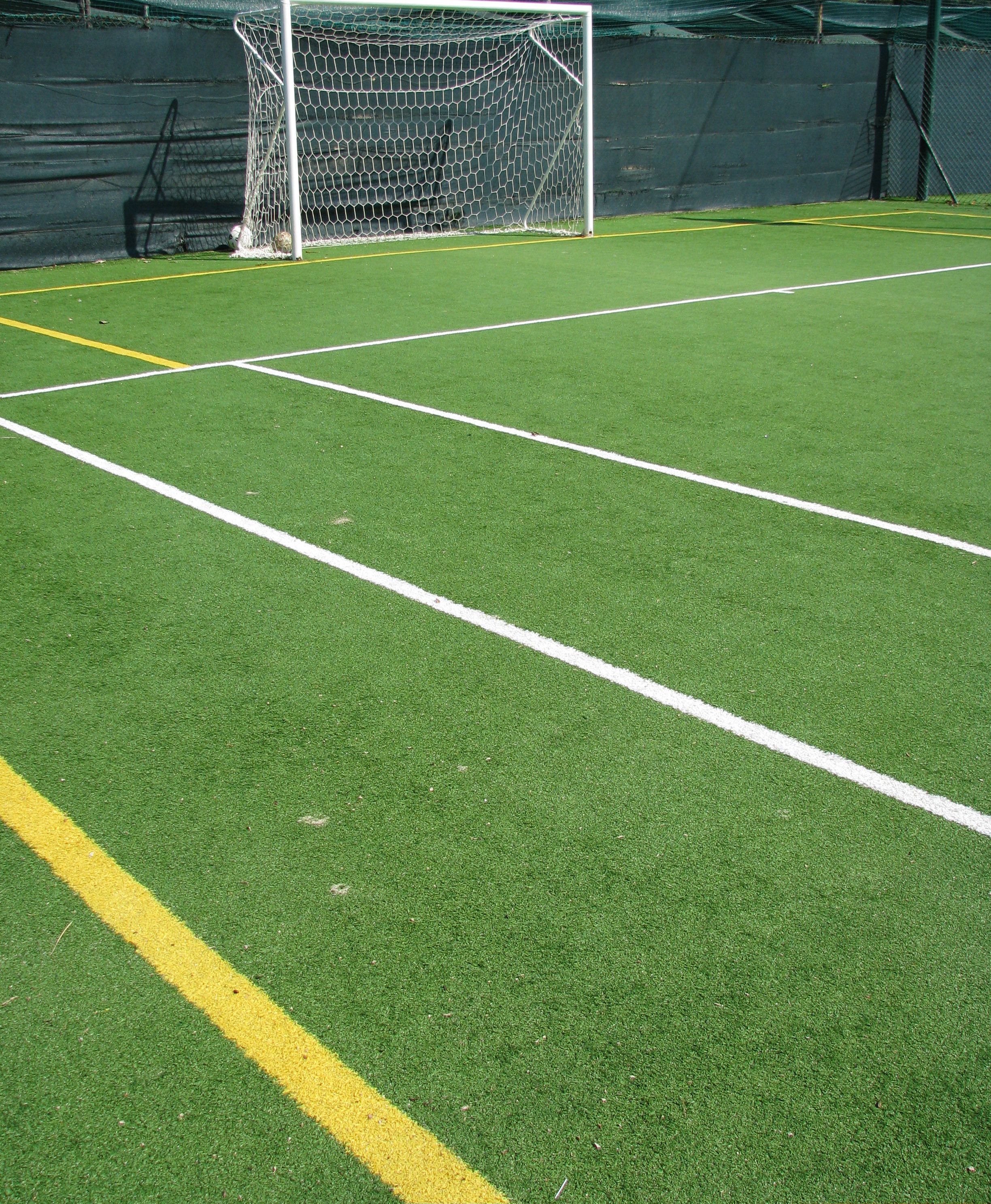 A soccer field with white boundary lines and a goalpost.