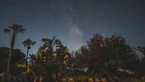 A nighttime pool area with palm trees and lounge chairs under a starry sky. - Baia del Sole Resort (Ricadi)