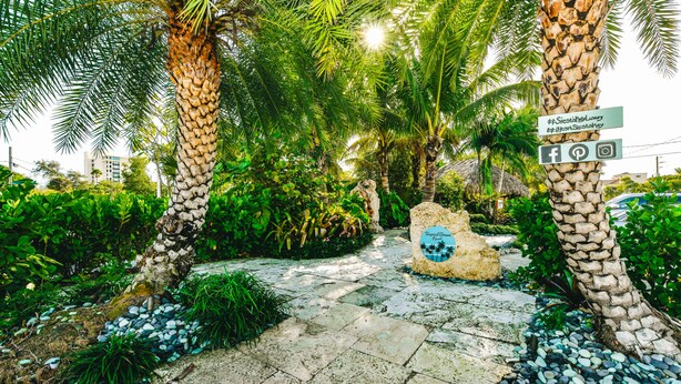 A stone pathway leading through a tropical garden with palm trees and a signboard. - Tropical Breeze Resort (Siesta Key)