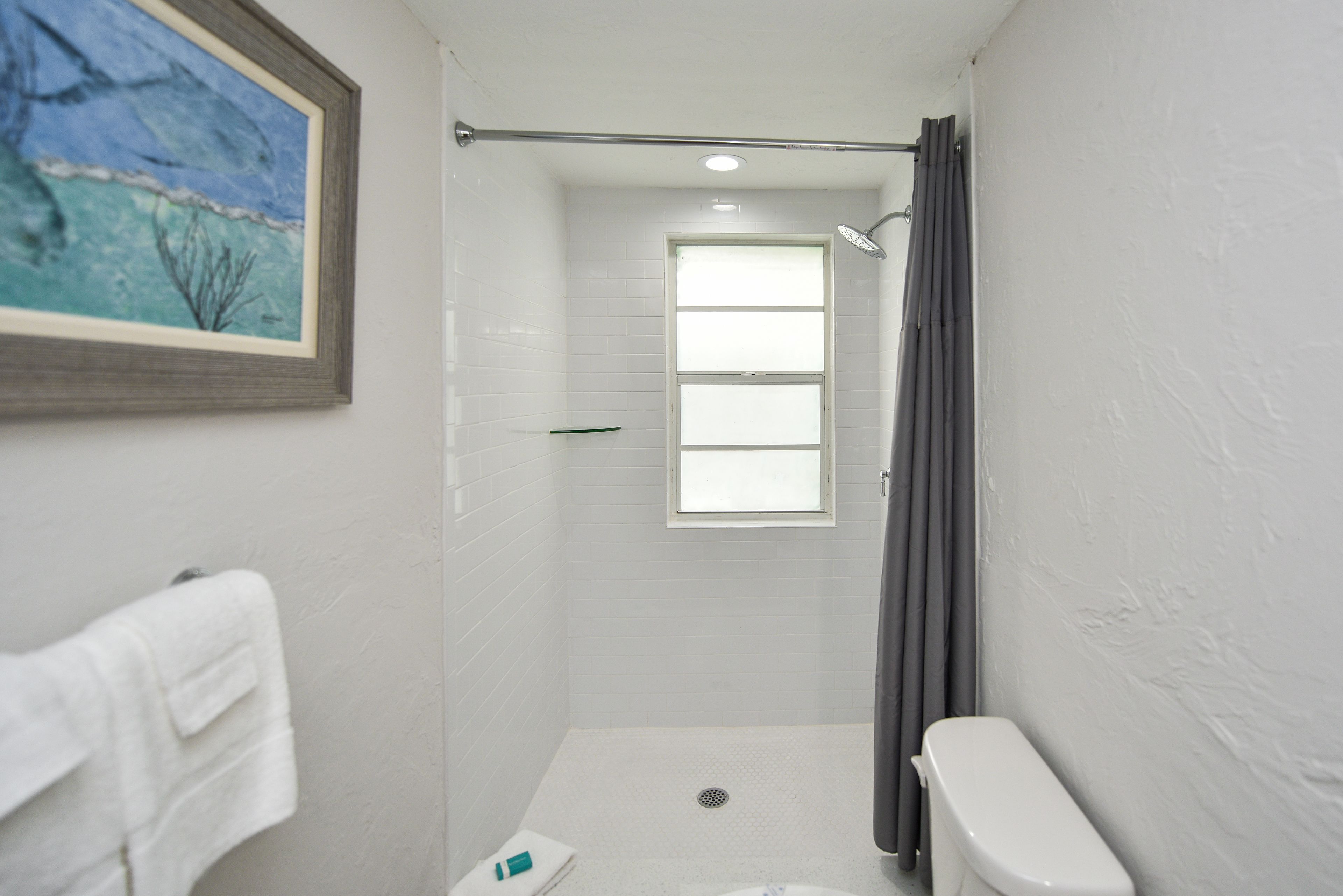 Une petite salle de bain blanche, avec une douche, des toilettes et un tableau encadré au mur.