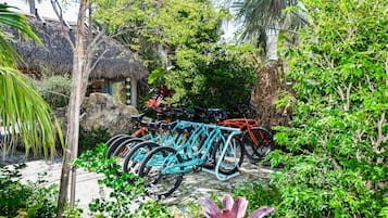 Ciclismo