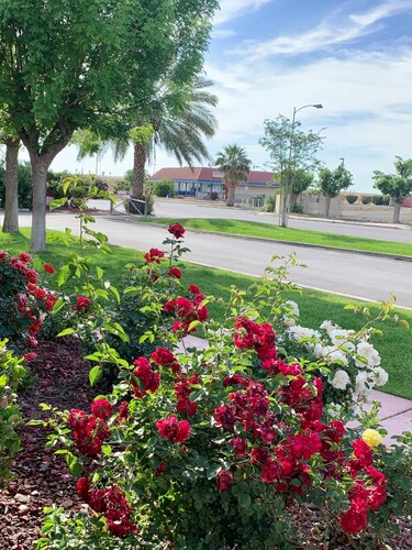 Best Western Big Country Inn