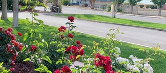 Best Western Big Country Inn