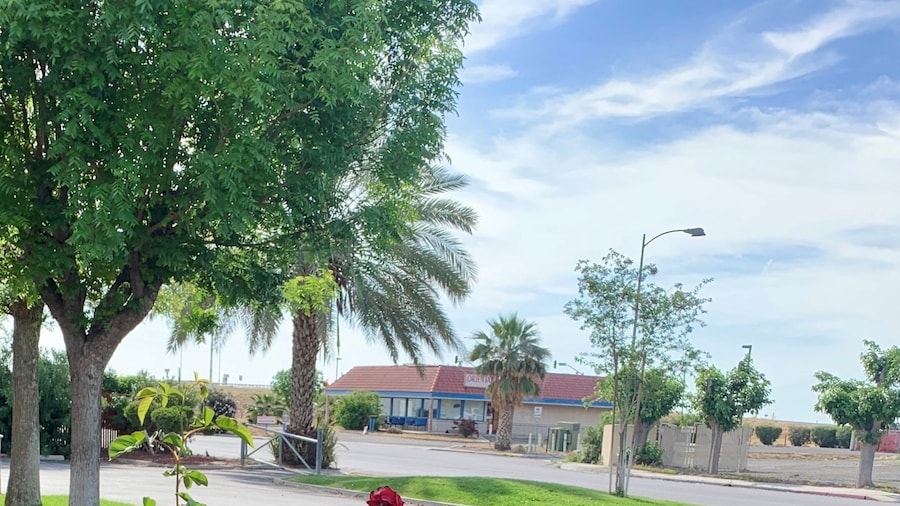 Best Western Big Country Inn