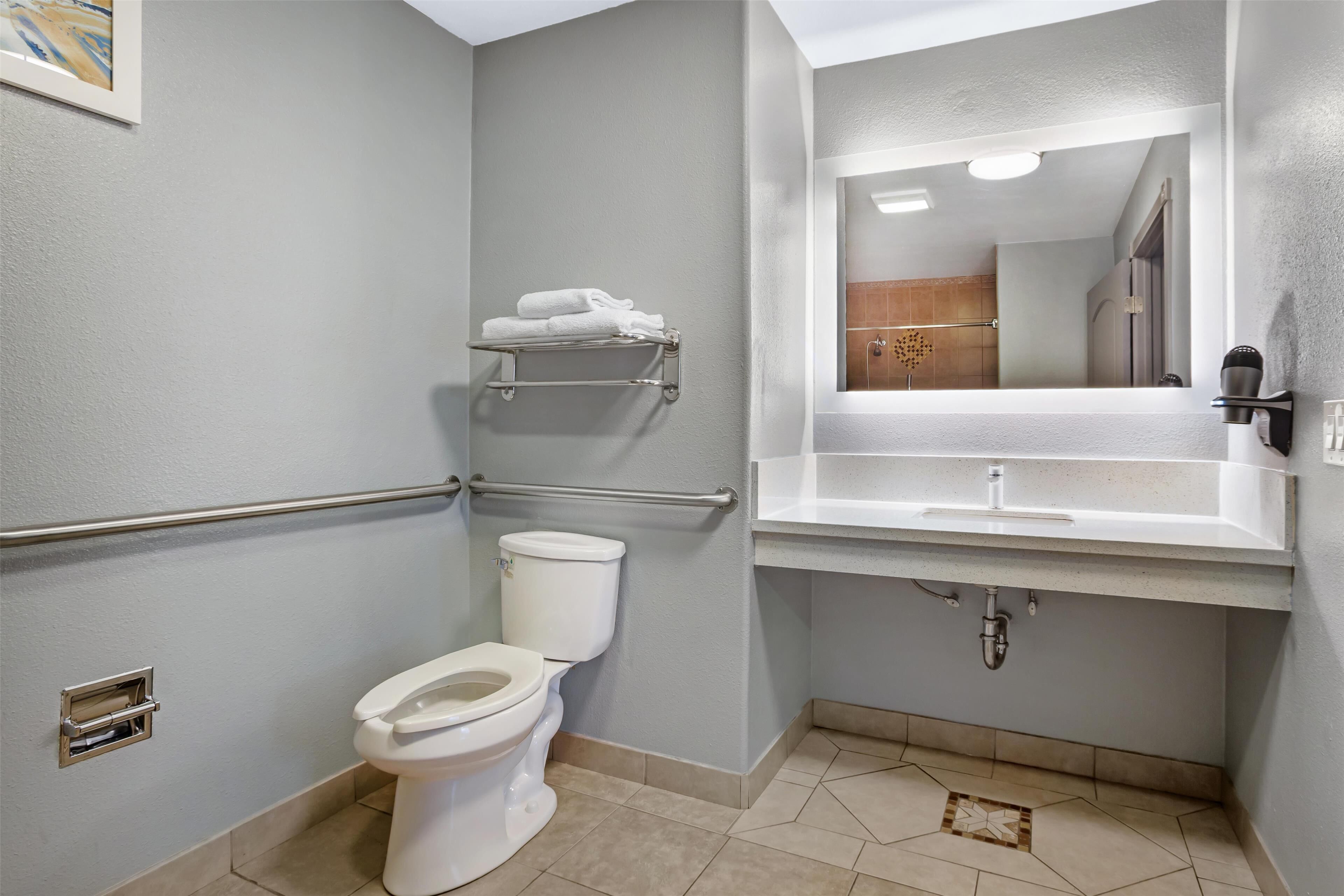 standard room, 1 queen bed, accessible, non smoking | accessible bathroom