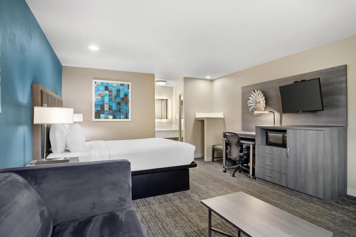 Standard Room, 1 King Bed, Non Smoking, Microwave | Down comforters, pillowtop beds, in-room safe, desk